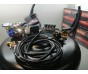 Комплект ГБО 4 Stag Q-Box Basic/ред.Tomasetto Nordic/форс.Stag w 01 + балон 42л.