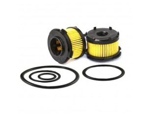 Фильтр Brc ET98 MY07 (Czaja) в газовый клапан (d:37/h:27) +Oring